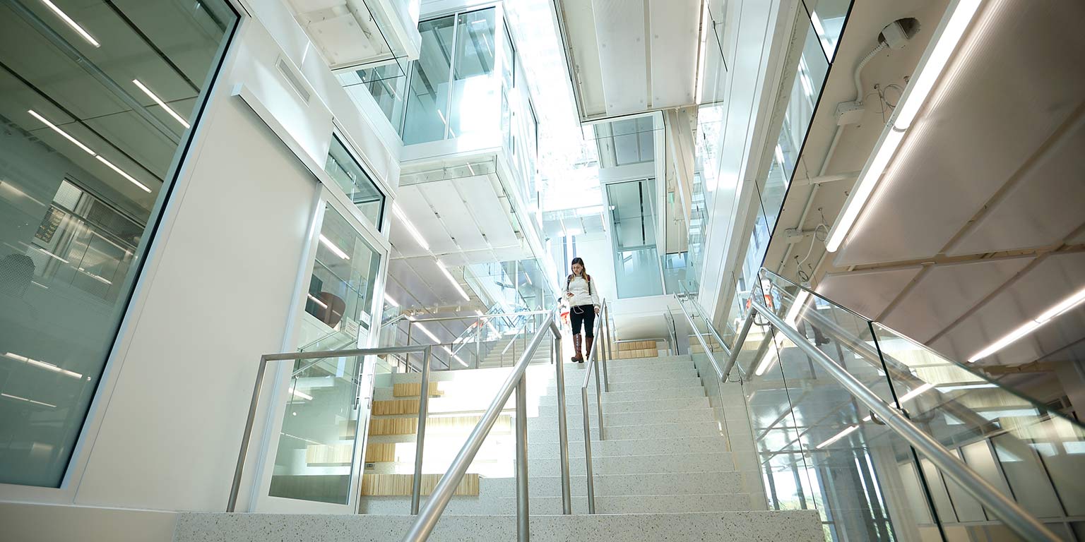 A female student walks down the glass staircase in Luddy Hall, which is located in center of the building.